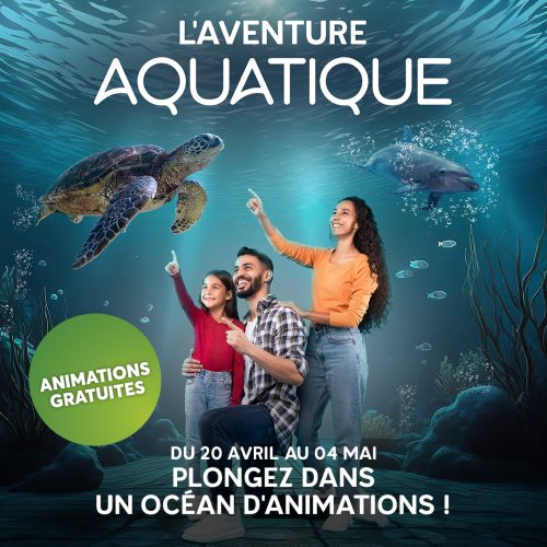 animations auchan boulogne sur mer